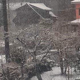 3月に入ってからの雪の画像