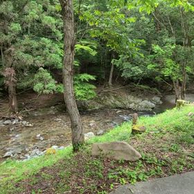 千年水は美味しい♪︎の画像