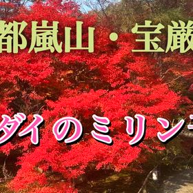 京都嵐山・天龍寺・宝厳院・ヘダイのミリン干しの画像