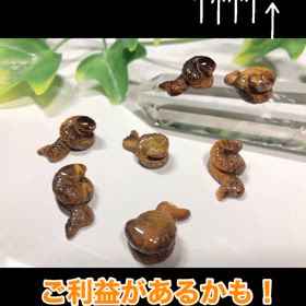 小さくて持ち歩きやすい白蛇✨の画像