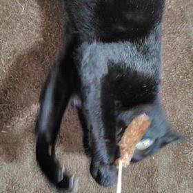 1番好きな季節の画像