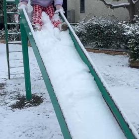 雪遊びしゃないの画像