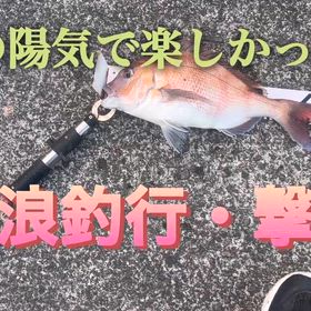 放浪釣行・大撃沈の巻の画像