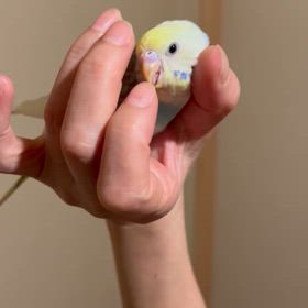 仕上がりました〜の画像