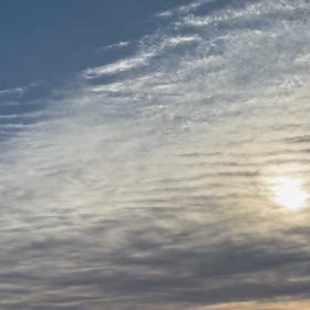 今日からの画像