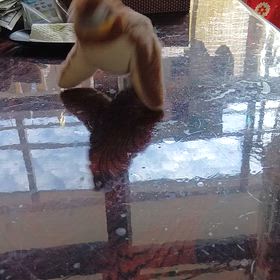 喜ぶと思ったのにの画像