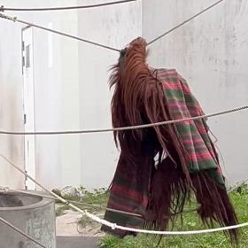 言葉には魂が宿るの画像