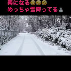 懐かしい通勤路♪の画像