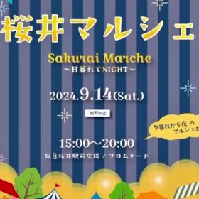 2024/08/09の画像