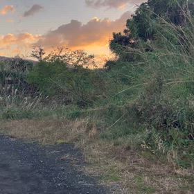 私の八丈島❗️の画像