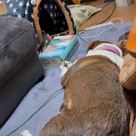 梅ちゃんは…の画像