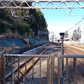 2024/02/28の画像