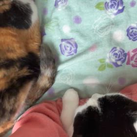 腕まくらはどうしても嫌なリナちゃんの画像