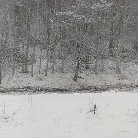 あ、これ積もるやつ⛄️の画像