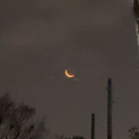 昨日朝の散歩で見たミカヅキ｡の画像