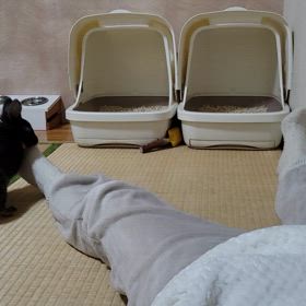 ローリングの経過(後編)の画像
