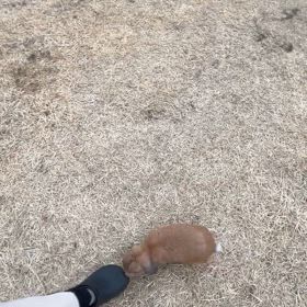 ８倍長生き⁈ 528Hz♪ ( ́•ૢ  。•ૢ ̀)ᤊᤊᤊᤊ!!の画像