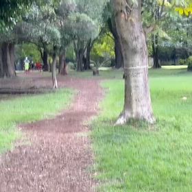 9/27 400mインターバル⑤の画像