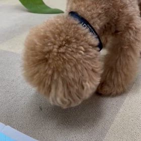 空悟のサラダバーの画像