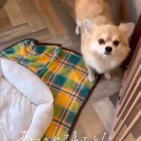 トリミングの画像