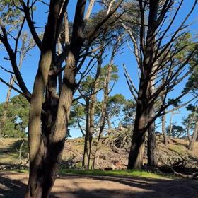 ほっとした一言の画像