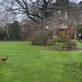 インフル大流行の画像