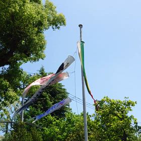 こどもの日【泳ぐこいのぼり】の画像