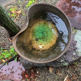 こんにちは。(4月13日)の画像