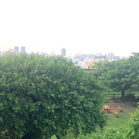 目覚めの習慣の画像