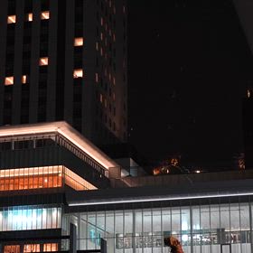 冬の到来の画像