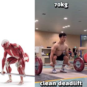 筋肉で見るトレーニングの画像