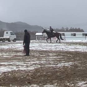 初！競馬の鞍にのって！の画像