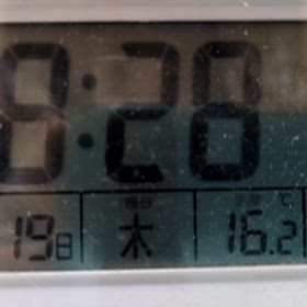 2/19 FM Bettyの画像