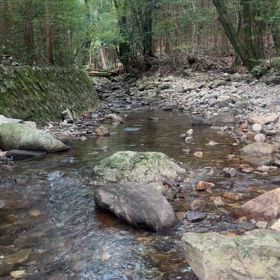 25.08.19 リハビリ#9の画像