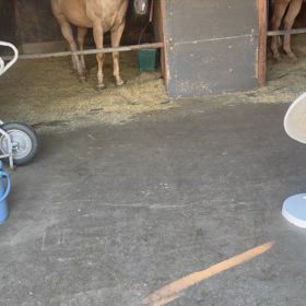 癒されて来ました。の画像