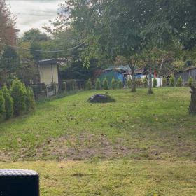 軽井沢旅行（わんこも一緒）⑤の画像