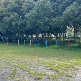 8/10 走り幅跳び練習⑨の画像