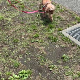 おかえりなさいの画像