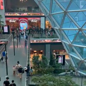 ダンナさんの娘。の画像