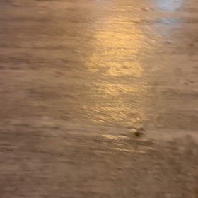 初転び！の画像