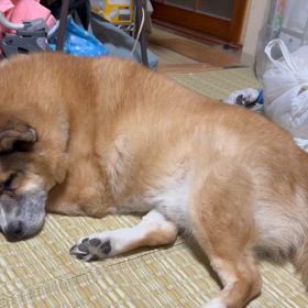 何十年振りにブログ書きますの画像