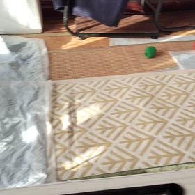 賑やかになりましたの画像