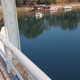 スワンボート乗りたくての画像