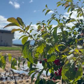 世界の変化の画像