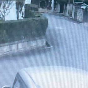 黒のvits rs シルバーのプリウスみたいな事してた！の画像