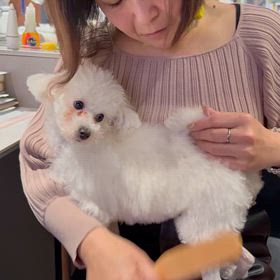 今日は完結の画像