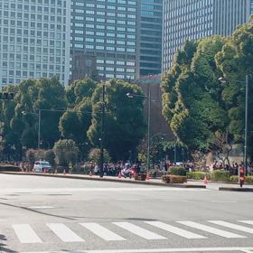 箱根駅伝　復路　第8位東京国際大学の画像