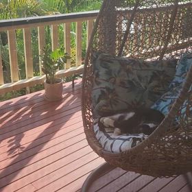 気づけば3ヶ月。。。の画像