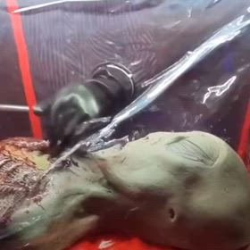 宇宙人　c/1236490662/18030の画像