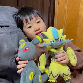 四柱と星が語る政治家の資質ー小川淳也氏を読み解くの画像